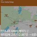 탄자니아 신혼여행 세렝게티 사파리 계약기② 현지업체 고르는 법 (사파리부킹스)