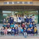 용인대통일태권도 이미지