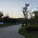 가족놀이터 | 동탄 강아지 무료 놀이터 추천｜여울동 반려동물 가족놀이터 자주 이용하는 후기 ｜주차꿀팁