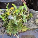 그림정원 이미지