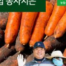 제주오가닉스