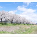 수변공원길 이미지