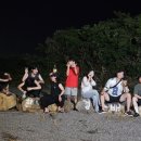 제주도 게스트하우스 친절한경배씨 이미지