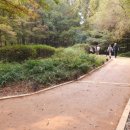 정발산공원 이미지