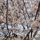 마석부동산공인중개사사무소 | 고속도로 근처에 위치한 남양주 화도읍 녹촌리 180p 창고 임대