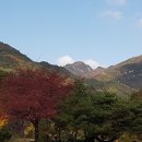 가은 한우촌