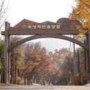 옥성자연휴양림 이미지