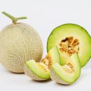 극복 농장 | 동네한바퀴 공주 멜론 농장 온라인 &amp; 택배 주문 정보(청년 농부의 꿈)