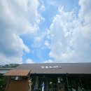 골드빅타운 | 삼동소바 신봉동 외식타운 /소바 돈가스 맛집