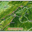 중부-현장-중부-483 | 〔경남 창원〕천주산 진달래꽃 산행