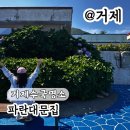 강타팬션 | 거제수국명소 파란대문집 올해는 스쳐만가주세요 실시간 개화 꽃 거의 없다