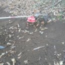 용추사위 이미지