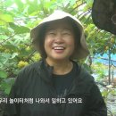 아침마루와이너리 이미지