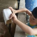 천훈진농장 이미지