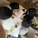 방촌로삼거리 | 한옥에서 부찌까지 : 1박2일 힐링 한옥촌캉스 후기 (파주 한옥에서 하루를)