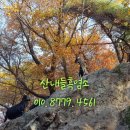 흙염소 농장 이미지