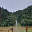 별빛누리 | 계곡이 바로 앞! 가평 별빛누리글램핑 후기