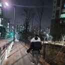 쭈꾸미와 친구들