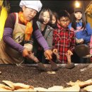 함양조청한과 이미지