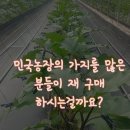 민국농장 이미지