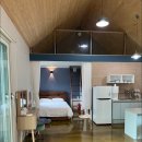 별빛애견펜션 이미지