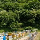 (주)포레스트바이오 이미지