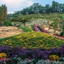 피나클랜드 이미지