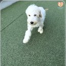 살랑살랑 이미지