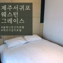 청자다방서귀포 | 서귀포 올레시장 근처 3만원대 제주 가성비 호텔 웨스턴 그레이스