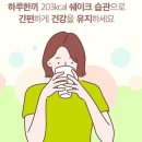 진점핑다이어트