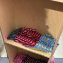 퍼피온리 이미지