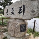순포리 | 강릉여행] 바다 근처 습지 &#39;순포습지&#39; 후기