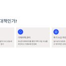 1015 이미지