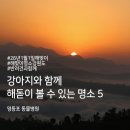 영등포동물병원 이미지