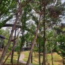 2025년12월14일 안성 금광호수 둘레길 트레킹 이미지