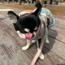 피알이랩 | 다술아! 보고십다!