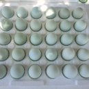 청계농장 이미지