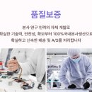 에스텔라 이미지