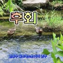 후회/나훈아/ 한명수 알토색소폰 커버 연주/ 이미지