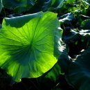 들꽃산장 이미지