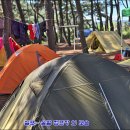 청와삼대 이미지