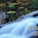 대광안전상사 이미지