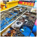 수산킹종합어시장 이미지