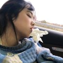 정태동 | 3月 월말정산 Part1