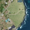 돈키호테공인중개사사무소 이미지