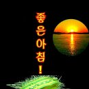 미라클코리아 이미지