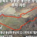 영동태양광발전소 이미지