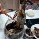 비엔에프코퍼레이션 | 간장게장 배송 연평도게장 알이꽉찬 알배기간장게장 명량 간장게장