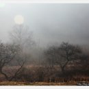 흑석 노루벌길 이미지