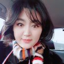 진풍참치